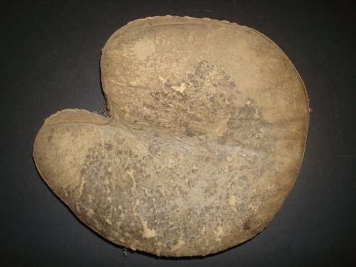 Pillow Type Catchers Mitt Front